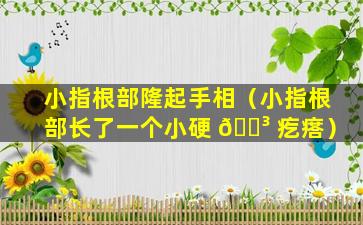 小指根部隆起手相（小指根部长了一个小硬 🐳 疙瘩）